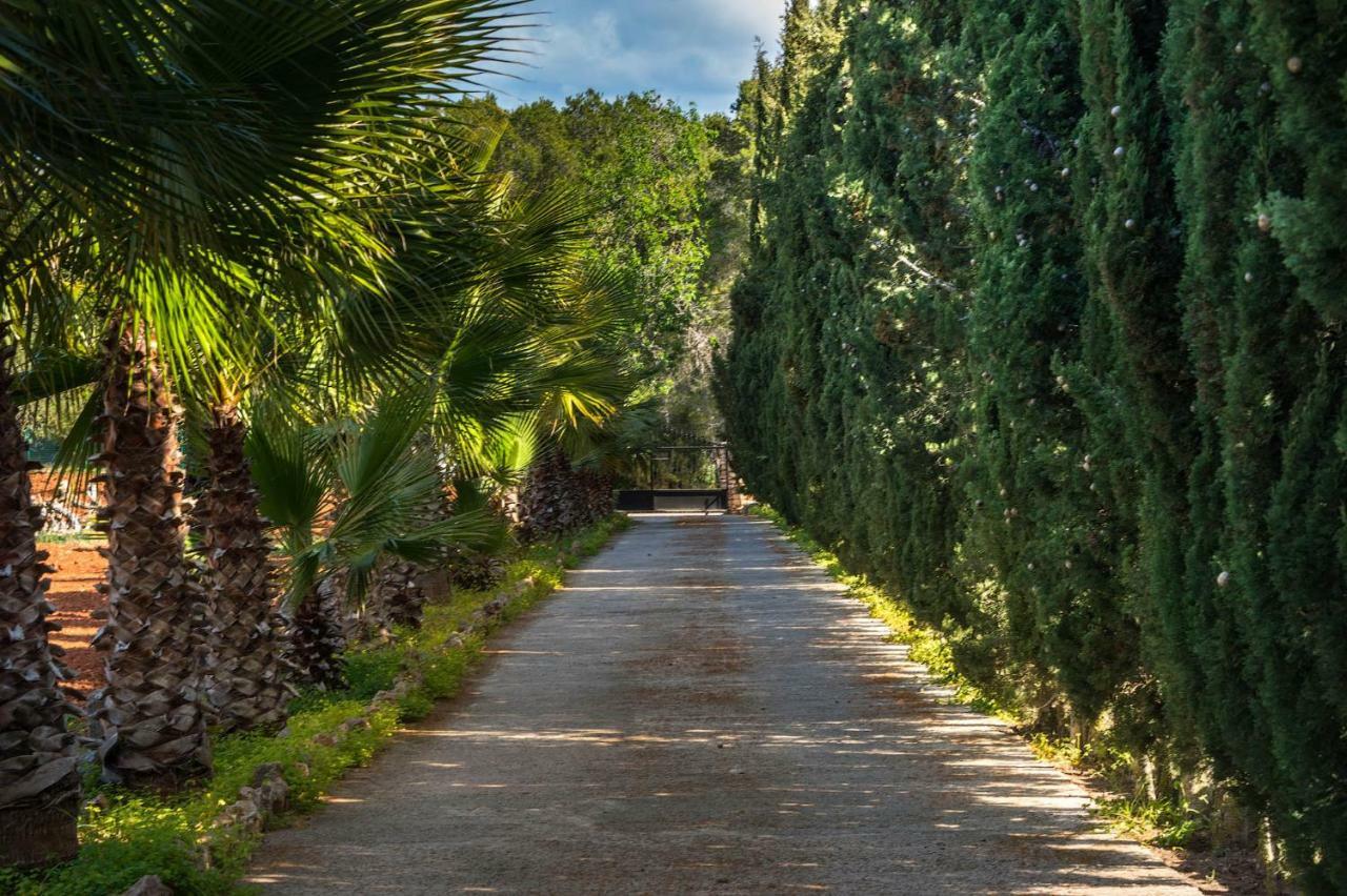 Villa Can Fita Puig D'en Valls Exterior foto